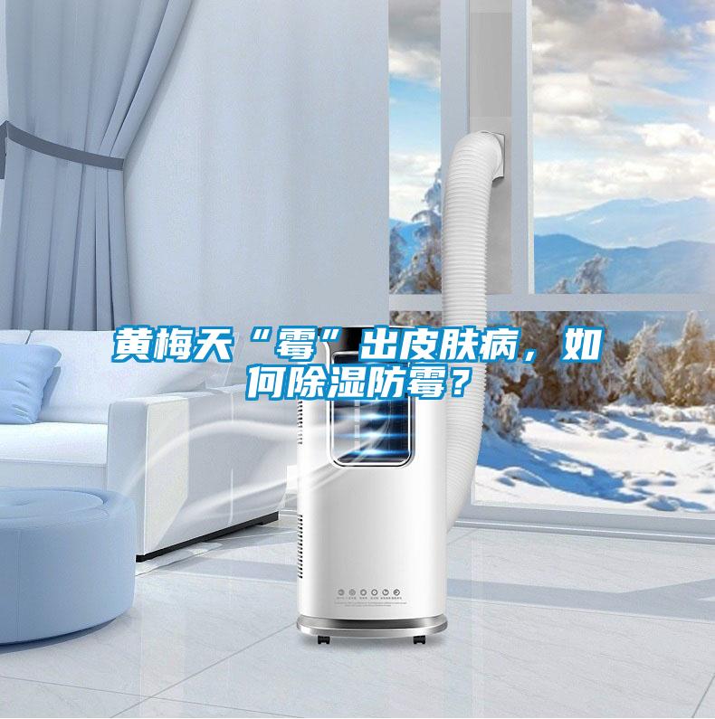 黃梅天“霉”出皮膚病,如何除濕防霉?