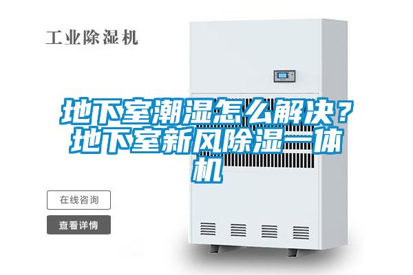 地下室潮濕怎么解決？地下室新風除濕一體機