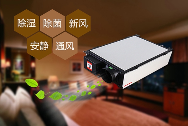 想要除菌殺毒？空氣凈化器可以幫忙