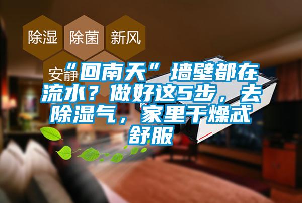 “回南天”墻壁都在流水?做好這5步,去除濕氣,家里干燥忒舒服