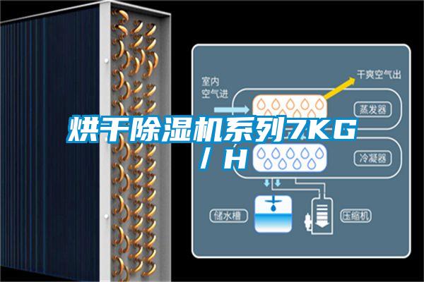 烘干除濕機系列7KG/H