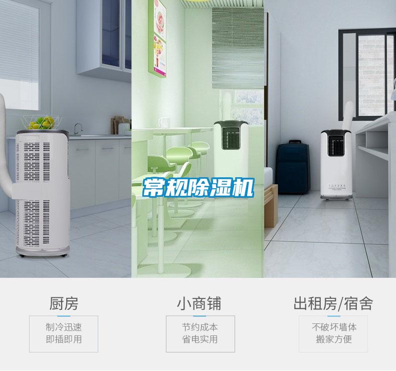 常規除濕機