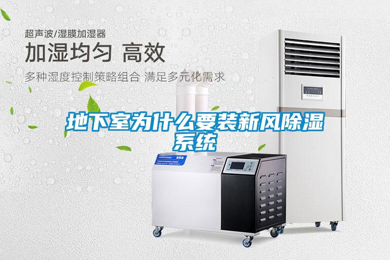 地下室為什么要裝新風除濕系統