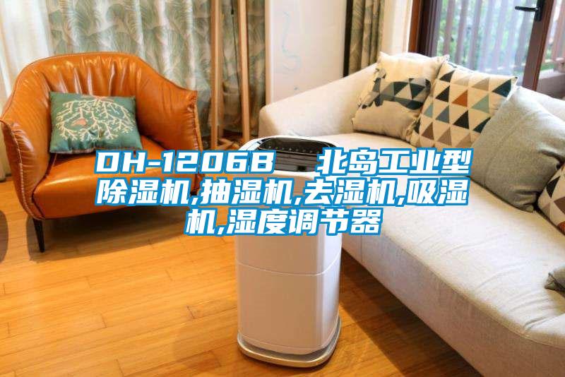 DH-1206B 北島工業(yè)型除濕機(jī),抽濕機(jī),去濕機(jī),吸濕機(jī),濕度調(diào)節(jié)器