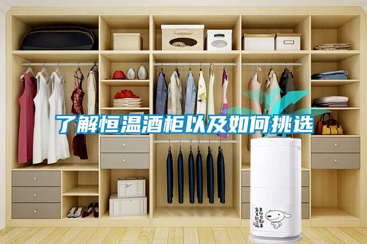 了解恒溫酒柜以及如何挑選