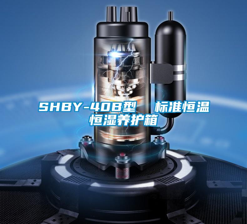 SHBY-40B型 標準恒溫恒濕養(yǎng)護箱