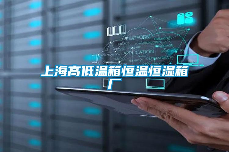 上海高低溫箱恒溫恒濕箱廠