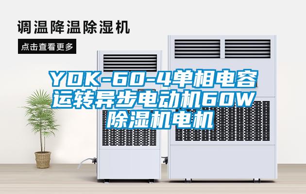 YDK-60-4單相電容運轉異步電動機60W 除濕機電機