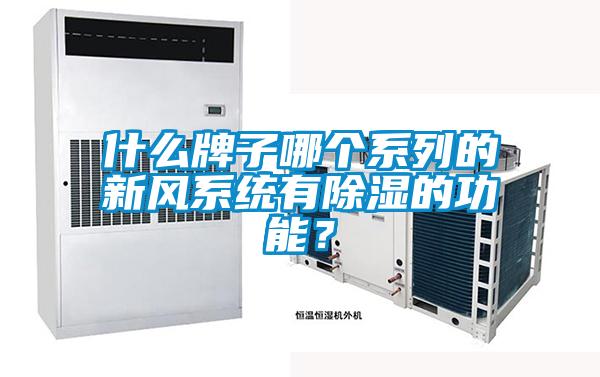 什么牌子哪個系列的新風系統有除濕的功能?