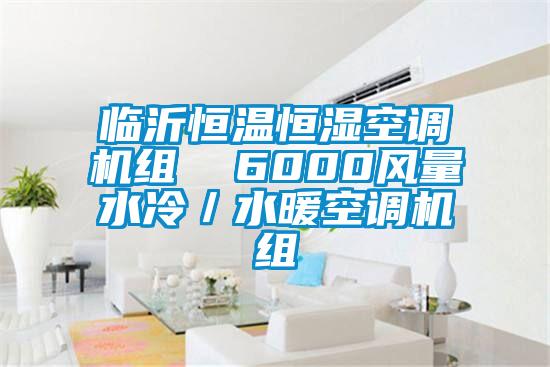 臨沂恒溫恒濕空調機組  6000風量水冷／水暖空調機組