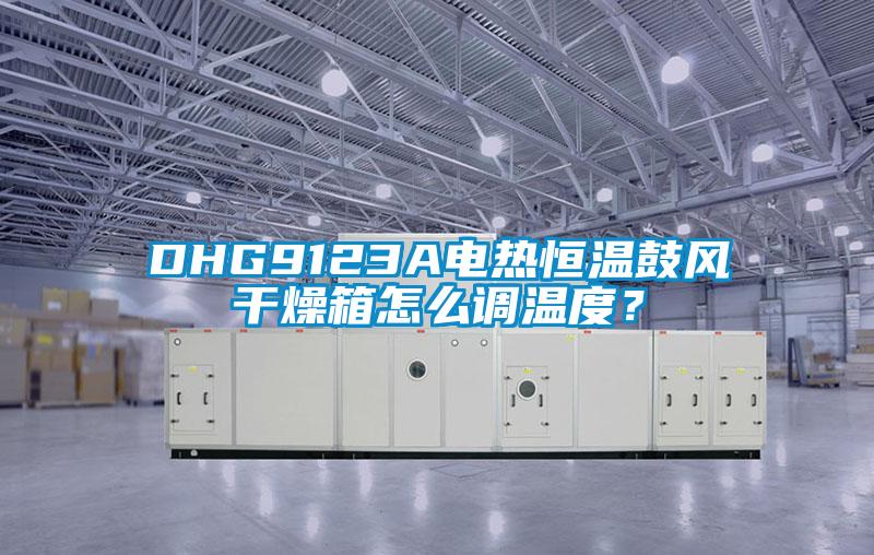 DHG9123A電熱恒溫鼓風干燥箱怎么調溫度？