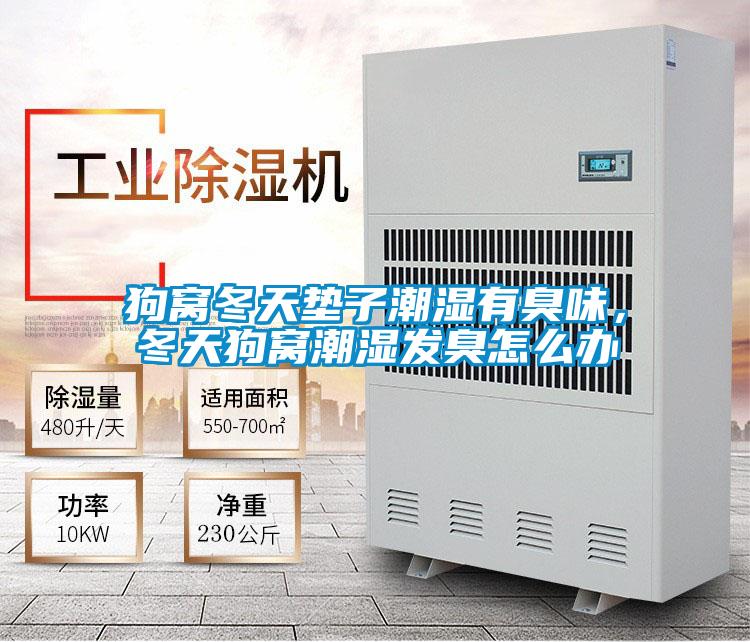 狗窩冬天墊子潮濕有臭味，冬天狗窩潮濕發臭怎么辦