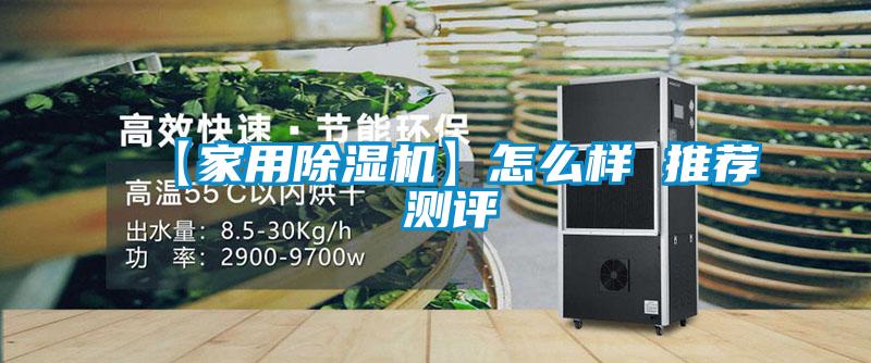 【家用除濕機】怎么樣 推薦 測評