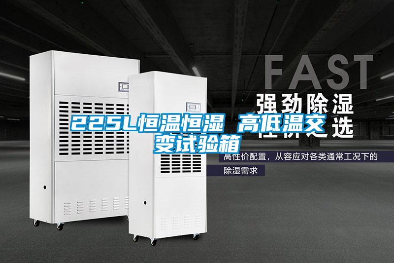 225L恒溫恒濕 高低溫交變試驗箱