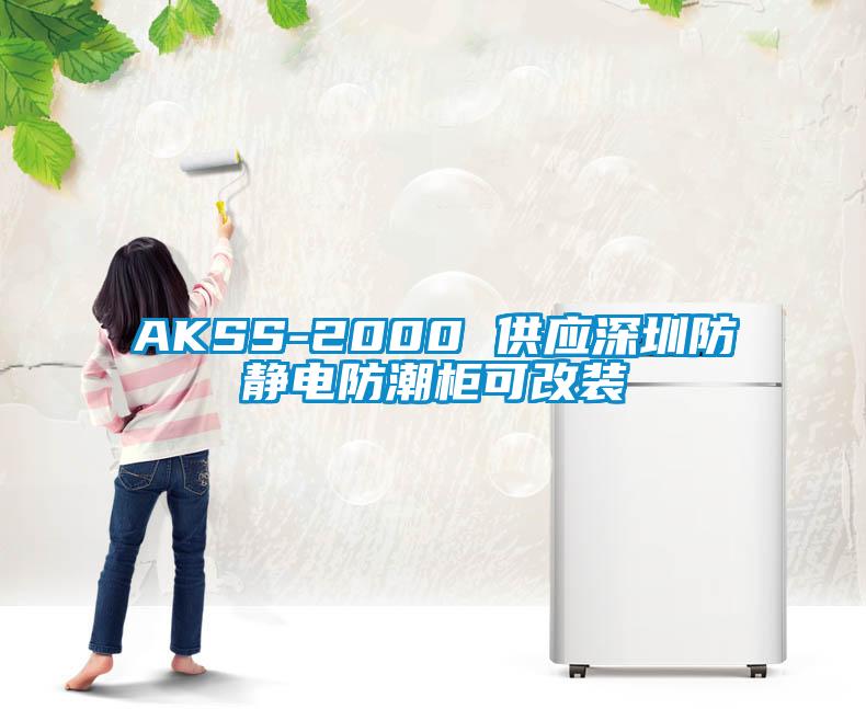 AKSS-2000 供應(yīng)深圳防靜電防潮柜可改裝