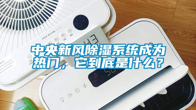 中央新風除濕系統成為熱門，它到底是什么？