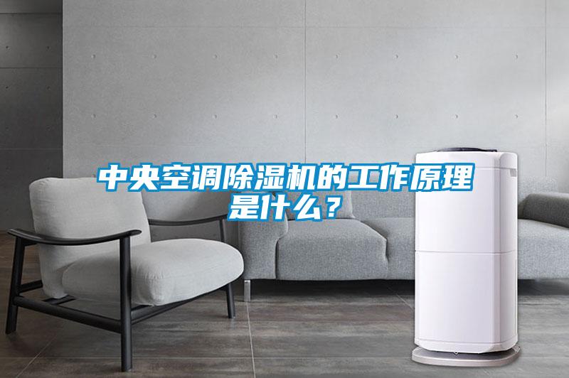 中央空調(diào)除濕機(jī)的工作原理是什么？