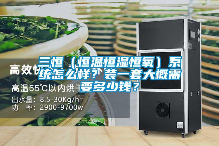 三恒(恒溫恒濕恒氧)系統怎么樣?裝一套大概需要多少錢?