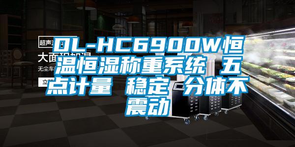 DL-HC6900W恒溫恒濕稱重系統 五點計量 穩定 分體不震動