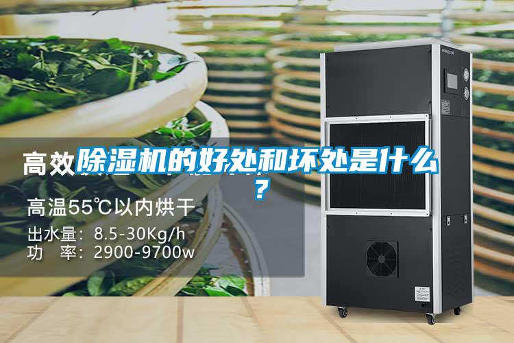 除濕機的好處和壞處是什么？