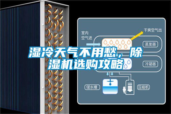 濕冷天氣不用愁,除濕機選購攻略