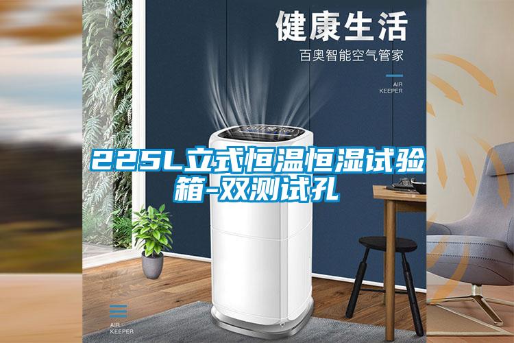 225L立式恒溫恒濕試驗箱-雙測試孔