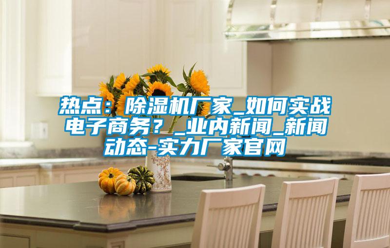 熱點:除濕機廠家_如何實戰電子商務?_業內新聞_新聞動態-實力廠家官網