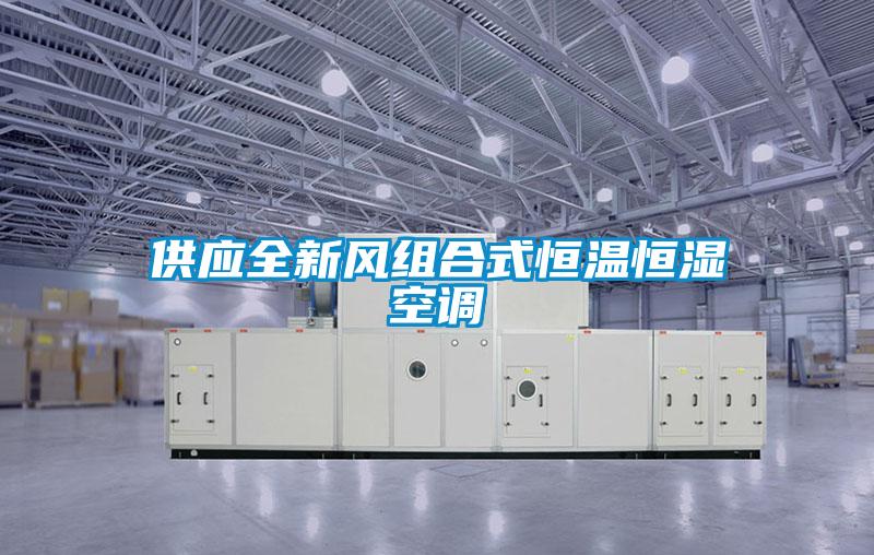 供應(yīng)全新風(fēng)組合式恒溫恒濕空調(diào)