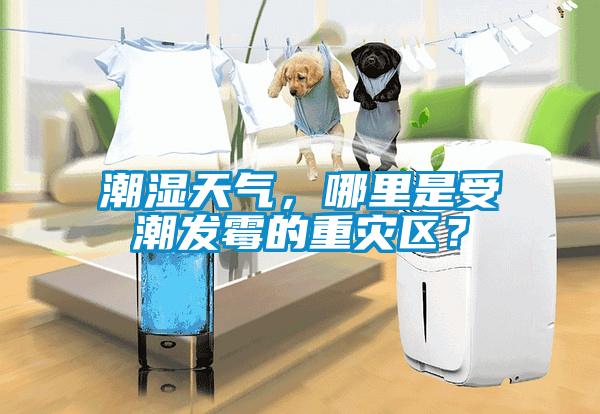 潮濕天氣，哪里是受潮發霉的重災區？