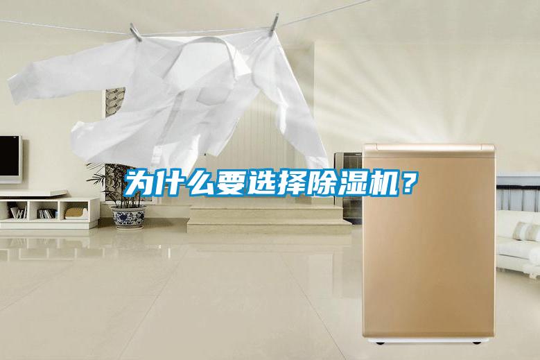 為什么要選擇除濕機？