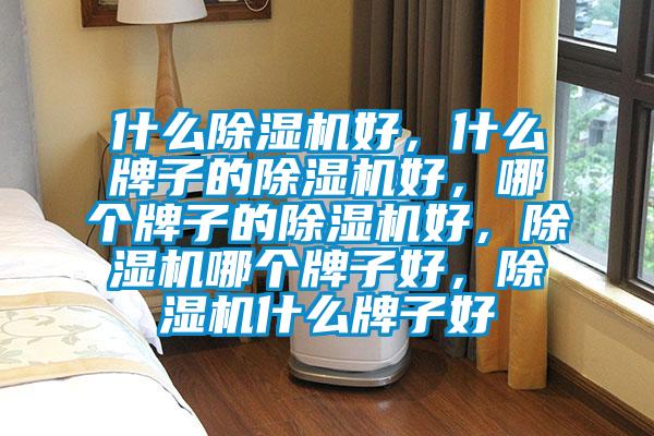 什么除濕機好,什么牌子的除濕機好,哪個牌子的除濕機好,除濕機哪個牌子好,除濕機什么牌子好