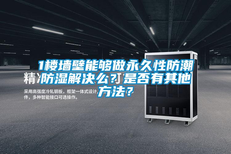 1樓墻壁能夠做永久性防潮防濕解決么？是否有其他方法？