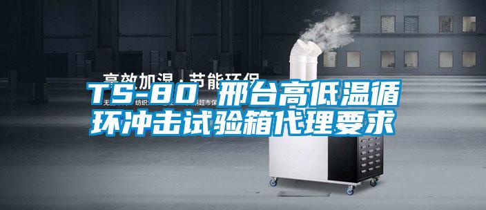 TS-80 邢臺高低溫循環(huán)沖擊試驗箱代理要求