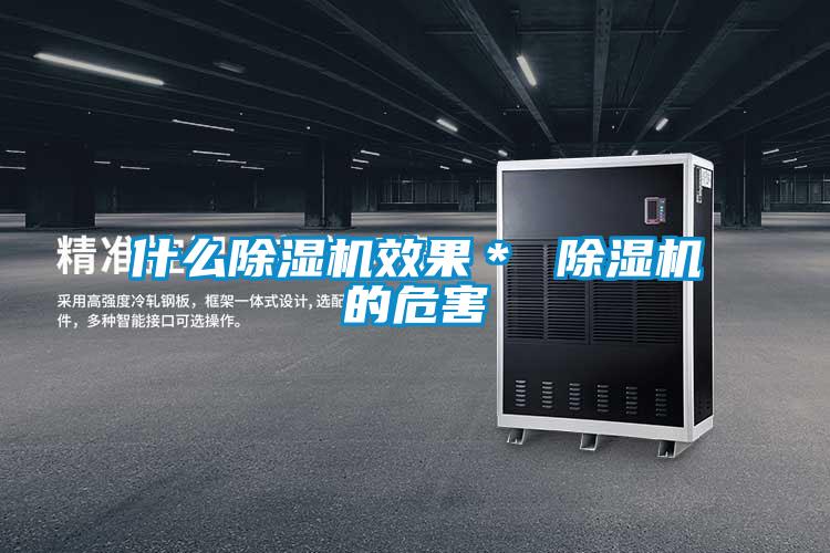 什么除濕機效果* 除濕機的危害