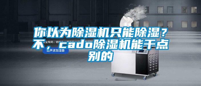 你以為除濕機只能除濕？不，cado除濕機能干點別的