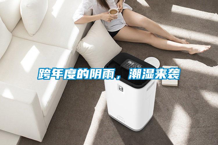 跨年度的陰雨，潮濕來襲