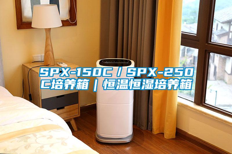 SPX-150C/SPX-250C培養箱|恒溫恒濕培養箱