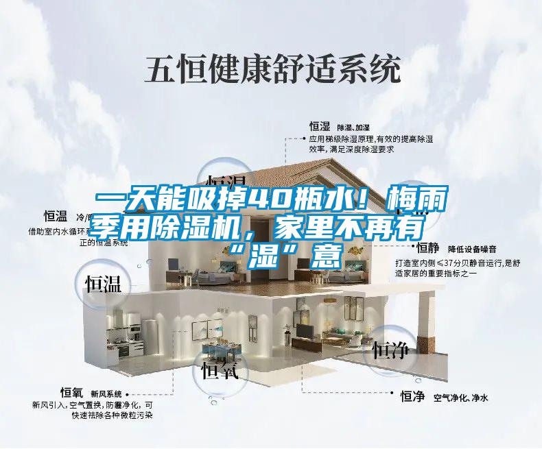 一天能吸掉40瓶水!梅雨季用除濕機(jī),家里不再有“濕”意