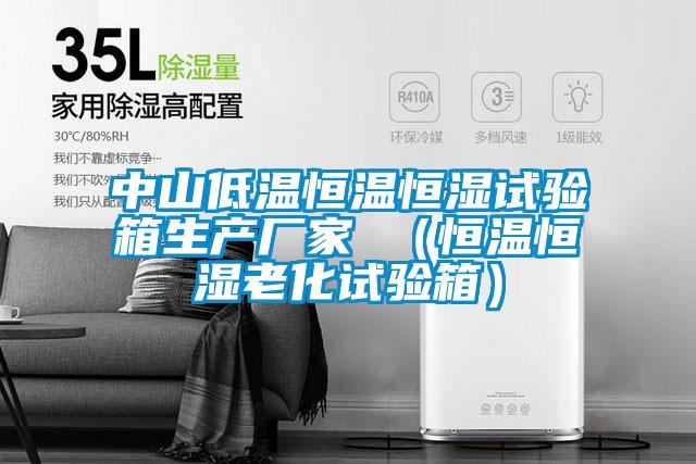 中山低溫恒溫恒濕試驗箱生產廠家 （恒溫恒濕老化試驗箱）