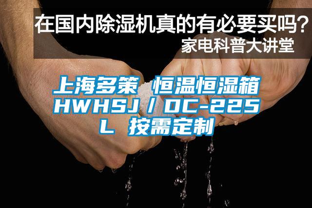 上海多策 恒溫恒濕箱HWHSJ／DC-225L 按需定制