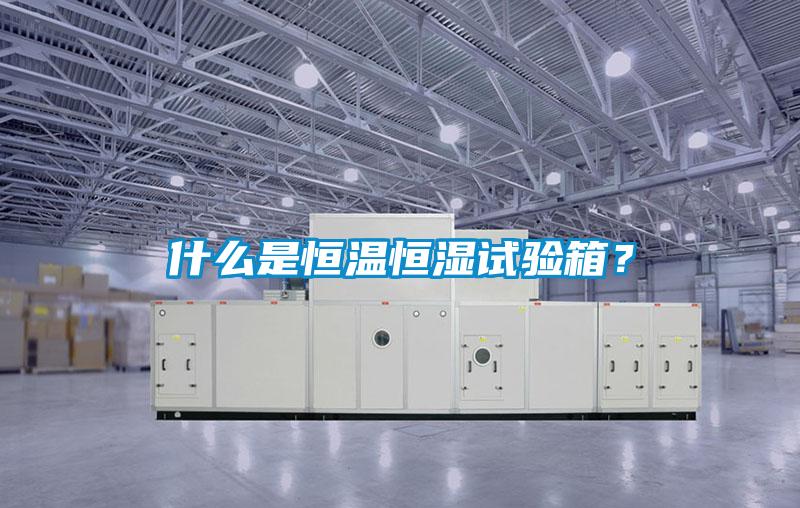 什么是恒溫恒濕試驗箱？