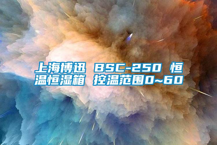 上海博迅 BSC-250 恒溫恒濕箱 控溫范圍0~60℃