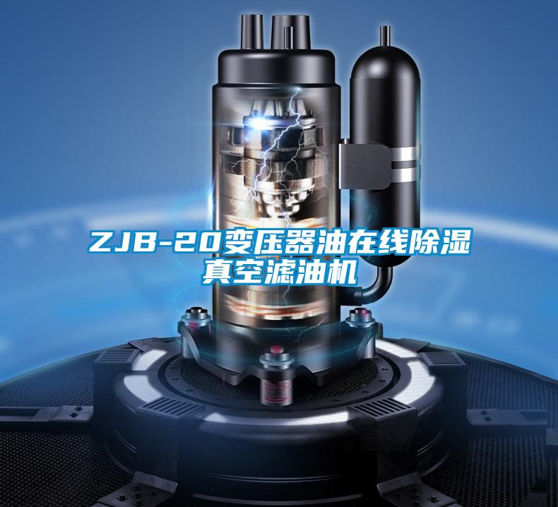 ZJB-20變壓器油在線除濕真空濾油機