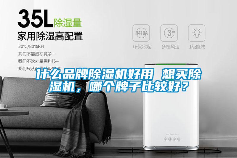 什么品牌除濕機好用 想買除濕機,哪個牌子比較好?