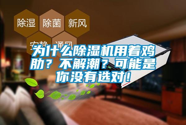 為什么除濕機用著雞肋?不解潮?可能是你沒有選對!