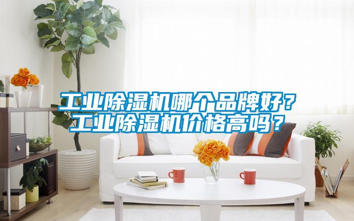 工業(yè)除濕機(jī)哪個(gè)品牌好?工業(yè)除濕機(jī)價(jià)格高嗎?