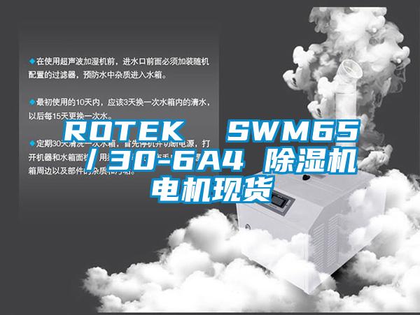 ROTEK SWM65/30-6A4 除濕機(jī)電機(jī)現(xiàn)貨