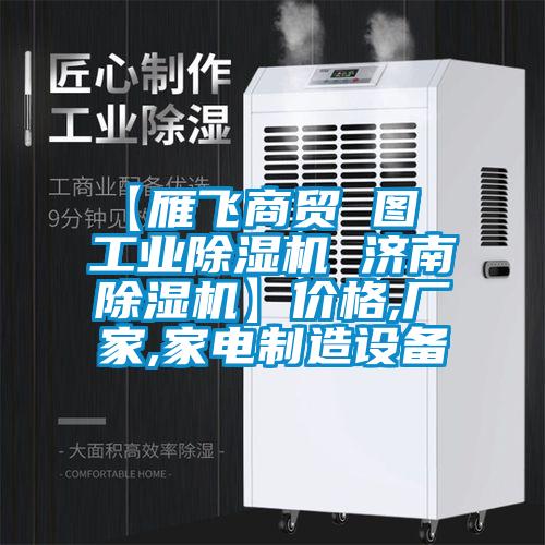 【雁飛商貿(mào) 圖 工業(yè)除濕機 濟南除濕機】價格,廠家,家電制造設備