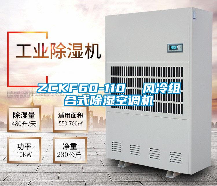 ZCKF60-110  風冷組合式除濕空調(diào)機