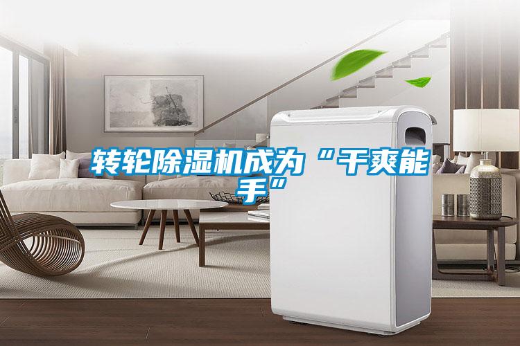 轉輪除濕機成為“干爽能手”
